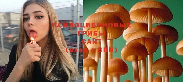 mix Абаза