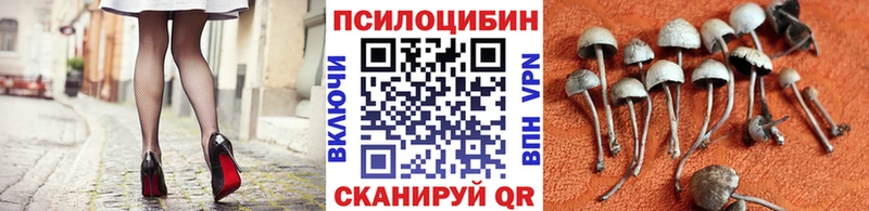 Галлюциногенные грибы Magic Shrooms  Альметьевск 